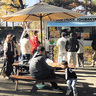 多彩なスイーツが群馬県前橋市の敷島公園に集合する「キッチンカーフェスティバル