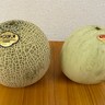 【地方民激愛】「メロンは甘けりゃいい」という風潮が蔓延するこんな世の中で絶滅の危機にある『プリンスメロン』の魅力を絶対に絶対に伝えたいッ!!!