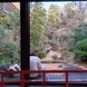 東京23区にある源泉かけ流し温泉！「前野原温泉さやの湯処」が入ってみたら別世界だった