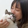 猫への愛が限界突破してしまったママ→思わず耳を食べてしまった結果…『可愛すぎる反応』が28万再生「たまらん」「食べられたｗ」