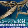 全長11m！海の王者・モモサウルスが東海初上陸する『恐竜ミュージアム2024』が無料開催