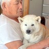 夏、犬が大好きなおじいちゃんと『お盆休みを過ごした』結果…ほっこりが溢れている光景に悶絶「相思相愛」「一緒にお手紙読んでるの尊い」