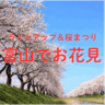 【富山でお花見2025｜サクラ名所・さくら祭りまとめ】能登地震以来2年ぶりのライトアップや限定カフェ、春爛漫”桜まつり”も