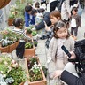 子育て支援施設　春の花で花壇を一新