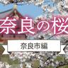 〈奈良〉うららかな春の絶景