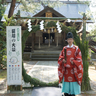 上越市大手町の榊神社に「茅の輪」初お目見え　期間限定の御朱印や茅の輪守りも