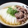 【高知グルメ】細麺が人気！行列のできるうどん店「よがなうどん」ほっとこうちおすすめ情報