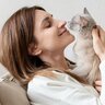 愛猫があなたや仲間猫に『鼻チュー』をするときの意味4選　“仲良しのバロメーター”になるかも