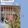 【衝撃】大阪万博にオカンが参戦してたから4日目の状況を実況させてみた結果