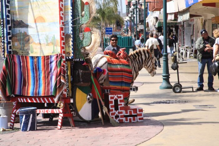 初めて陸続きの国境をハーレーで越える - Yahoo! JAPAN