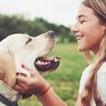 『人好きな犬』の特徴4選　フレンドリーな性格のワンコが喜ぶ接し方までご紹介
