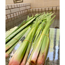 福島市「ヘルシーランド福島」で、端午の節句（5月5日）限定の『菖蒲湯』を開催