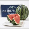 若松の大玉すいか「若松潮風プレミアム」2種が出荷へ　糖度の高い＜朝採りすいか＞【北九州市若松区】