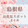 【島根】全国でも珍しい緑の桜や夜桜スポットも！お花見スポットまとめ。