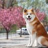 『飼い主に忠実な犬種』4選　しつけがしやすく忠誠心が強い犬の特徴や共通点とは？
