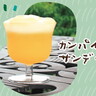 ”おやこクッキング”やワークショップ、ビアガーデンなど親子で楽しめる「GINNOMORI