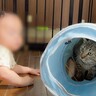 猫が赤ちゃんに寛大すぎた結果…驚きの『無防備な姿』が微笑ましすぎると2万7000再生「優しさ全開で感動」「本当に賢い」