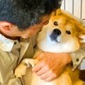 犬が『2日間出張に出かけるお父さん』へお見送りすると思いきや…まさかの光景がホッコリすると263万再生「そっちかーいｗ」「逆で草」