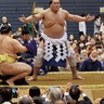 ４月・大相撲藤沢場所　来たれ未来の横綱　実行委が男子中高生を招待