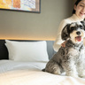 全室ワンちゃんOK！京都の街中に“愛犬が主役のホテル”オープン