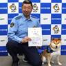 小山田駐在所の「豆助」を広報犬に委嘱、四日市南署、引き続き活躍へ