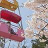 「一生守る」日本最古の観覧車を守る家族のキズナ…68年前と変わらぬ遊具が懐かしい遊園地