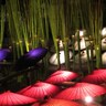 熊本・山鹿温泉「山鹿灯籠浪漫・百華百彩」壮観！夜に咲く和傘の花が満開の豊前街道。