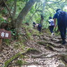 意外とキツい！鳥取市街地を一望する小さな山「久松山」に登ってみた！太閤ヶ平への縦走ルートに挑戦