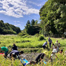 茅ケ崎里山公園　保全活動に参加しよう　ボラ団体の参加者募集