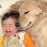 テンションMAXの0歳赤ちゃんに『大型犬が添い寝をした』結果…数分後、まさかの『尊すぎる光景』が41万再生「寝かしのプロ」「素敵な家族」