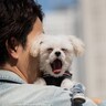 犬に伝わらない『愛情表現』5選　飼い主のエゴになっているかも？間違った行動とは