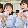 サンマで”命”学ぶ　白鳥幼稚園で食育学習