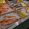 北九州市公設地方卸売市場の年末販売　年末・お正月向けの商品も【北九州市小倉北区】