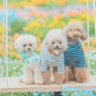 【5/12】「わんニャン祭りin花の駅せら」が開催されます！満開の花畑と愛犬を撮影！