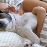 犬にとって過保護すぎる『飼い主のNG行為』5選　溺愛しすぎると起こる愛犬への悪影響とは？