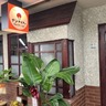 石川県金沢市武蔵町にタンドリーチキンとカレーのお店『NanNaicya（ナンナイチャ）』がオープンしてる。