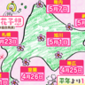 お花見は早めの計画を！札幌は4月23日にサクラが開花か