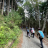 秦野市山岳協会といく秋の林道ウォーク