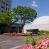 船橋の初夏を楽しもう！自然・遊び・歴史をめぐるお出かけガイド【船橋市】