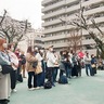 あつぎ商和会　ハトポッポ桜まつり
