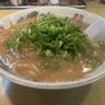 【京都ラーメン】伏見で愛されてきた老舗店！背脂醤油の懐かしい美味しさ「太陽軒」