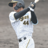 一時勝ち越しの適時三塁打で1軍昇格へアピール！前川右京,野口恭佑に負けじと大山悠輔,佐藤輝明に割って入る存在に成長期待の阪神2軍に潜む好打者とは！？