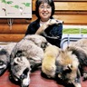 くずはの家　リアルぬいぐるみ展示　いろいろな動物標本展