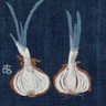 東京ステーションギャラリー「生誕120年　宮脇綾子の芸術　見た、切った、貼った」