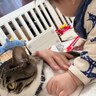 猫のそばにいた赤ちゃんが次の瞬間…育児してなかったら『一生言わなかったであろう言葉』に「確かに言わないｗ」「静かな場所で吹いたｗ」と爆笑