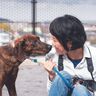 「生き生きとした表情」をとらえ、保護犬のイメージアップに尽力する写真家・犬丸美絵さん