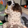 夜、寝ようとしたら娘が号泣→なぜか犬を抱きしめて…まさかの『泣いてしまった理由』が愛おしすぎると90万再生「なんて素敵な子」「相思相愛」