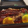 【キシャメシ】実質1,000円で、グルメールの「うなぎのかば焼き」を堪能した日　（新潟県長岡市）