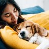 犬を『リラックス』させるための方法5つ　愛犬を安心させるために飼い主ができることとは