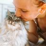 猫が『大好きな人限定』で見せてくれる嬉しい行動・仕草4選　これぞ飼い主の特権！